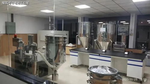 龍?bào)纯萍佳芯吭轰囯姵夭牧涎邪l(fā)中心正式啟用