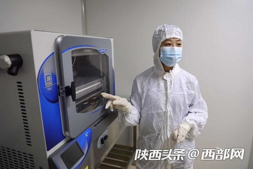 行走自貿區 跨國診療 共享實驗室 現代醫療大大提升治病效率