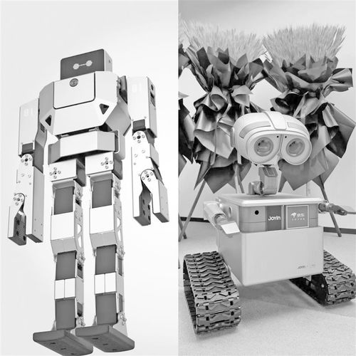 商業化路徑漸明 資本競逐家用機器人賽道