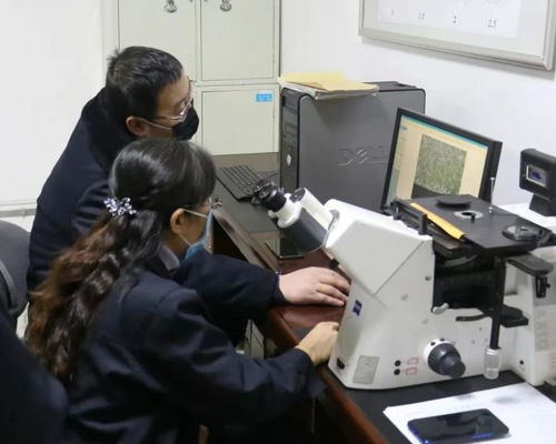 科技創(chuàng)新為發(fā)展賦能 包鋼股份成功研發(fā)高強(qiáng)度熱處理鋼軌 實(shí)現(xiàn)首次出口