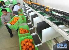 深圳二手食品生產線進口代理全流程解析 西班牙搬遷、備案中檢、報關一站式服務